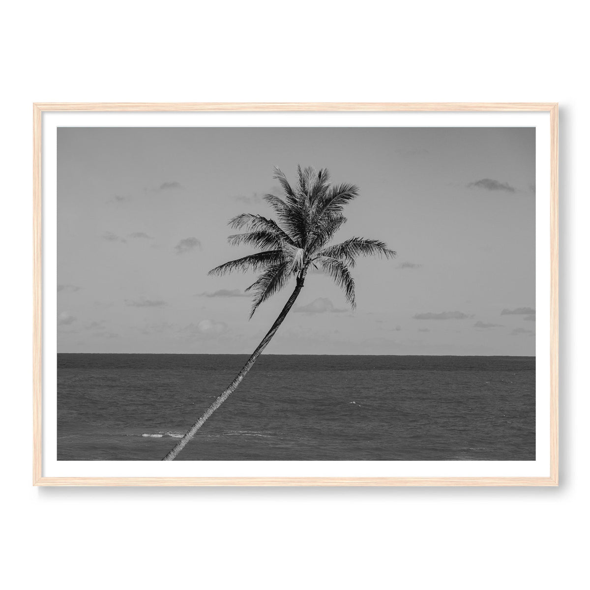 The Palm