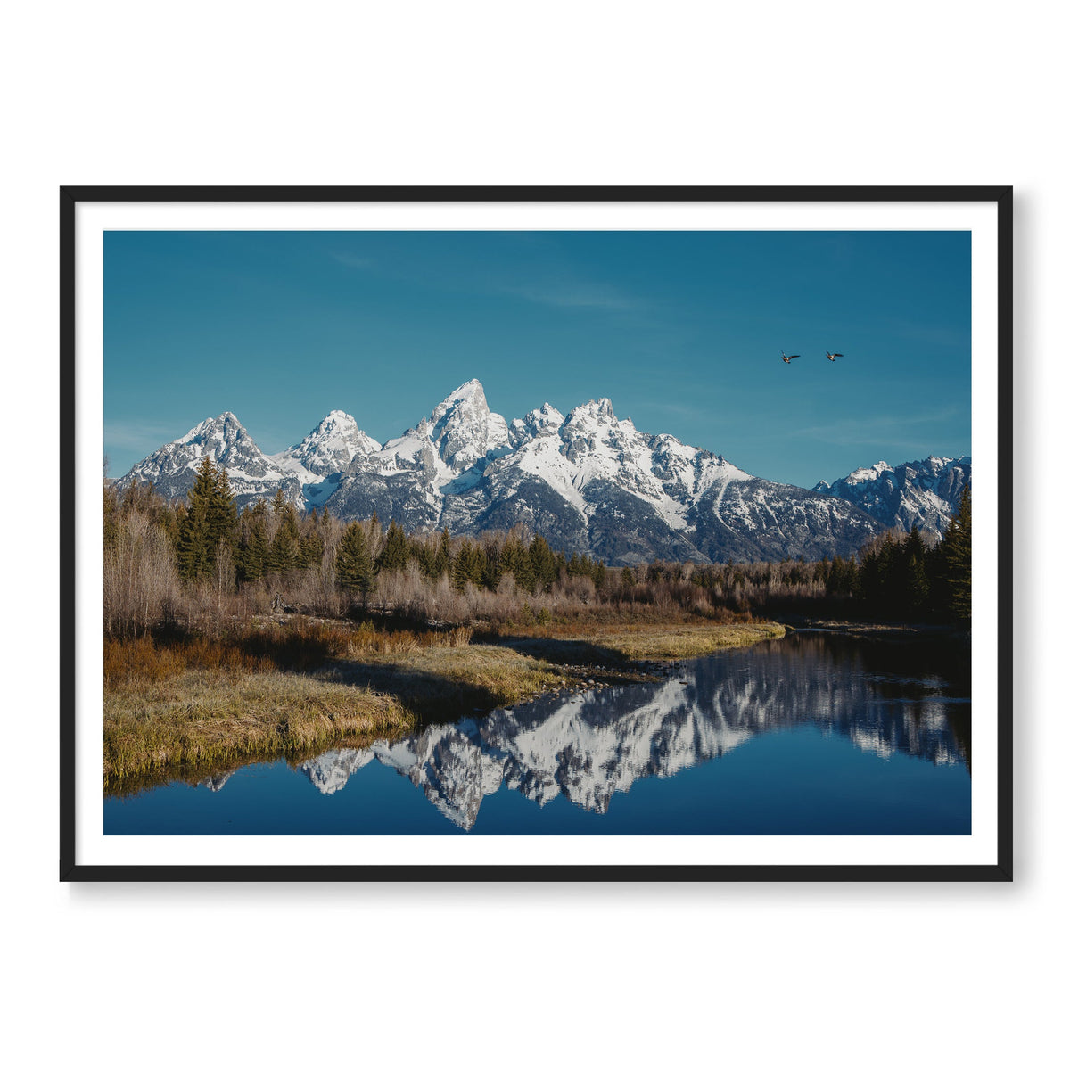 The Tetons
