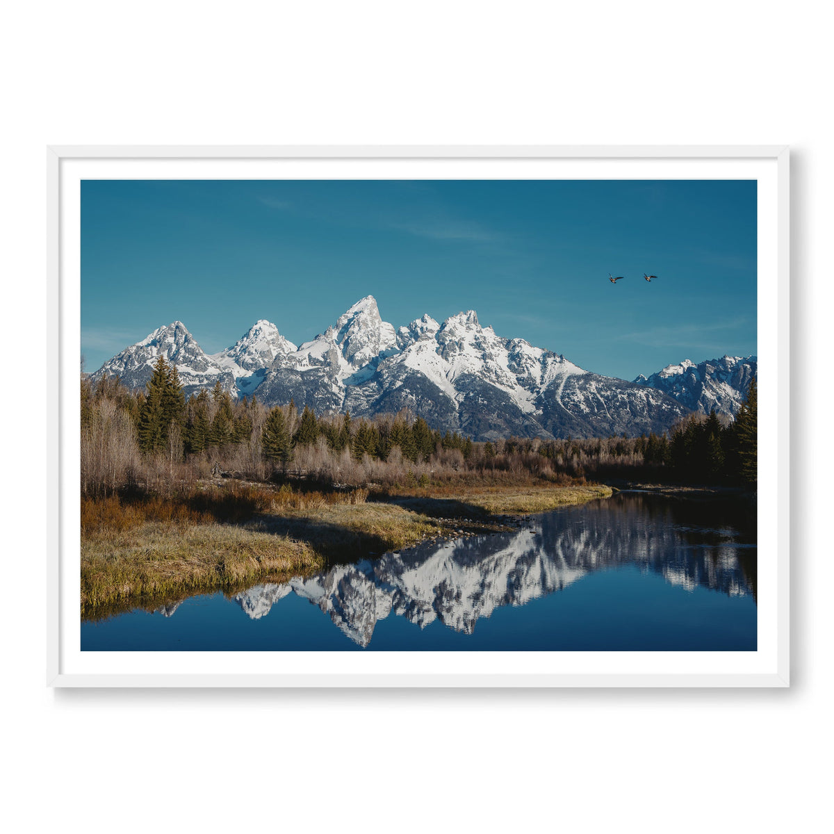 The Tetons