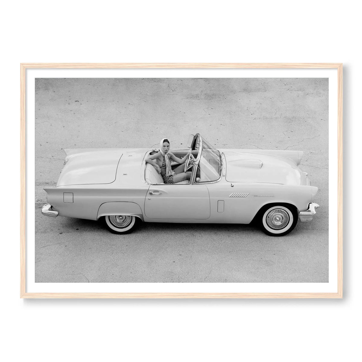 Thunderbird BW