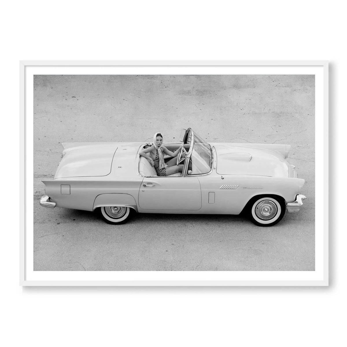 Thunderbird BW