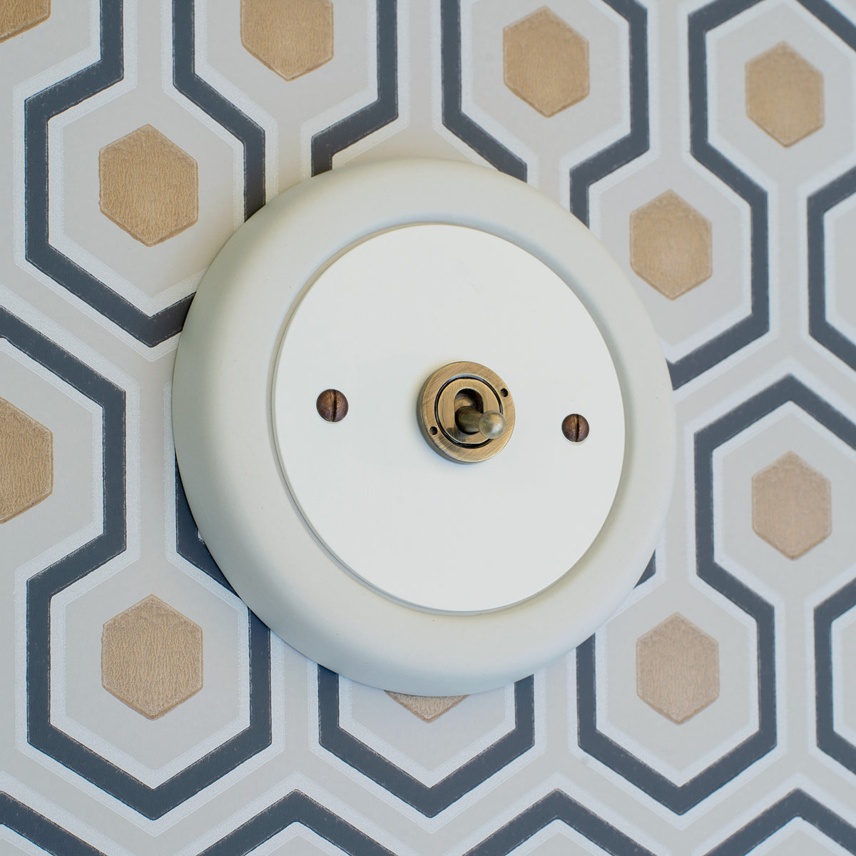 1 Gang White Switch With Brass Toggle