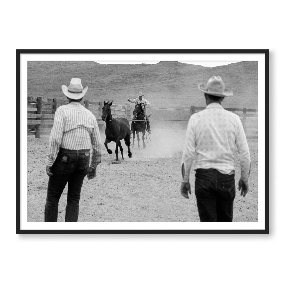 Wranglers & Mustangs