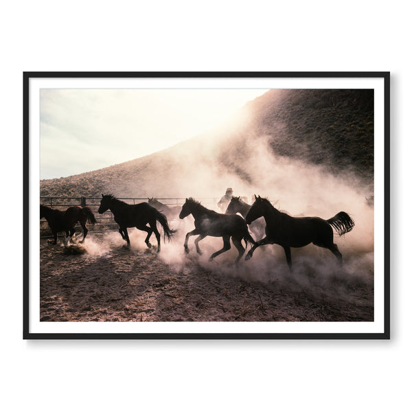 The Untamed West