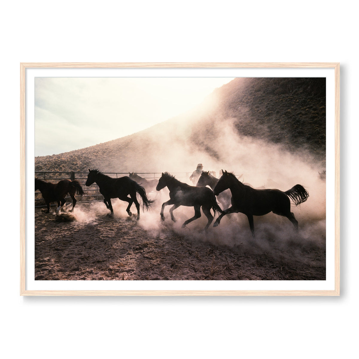 The Untamed West
