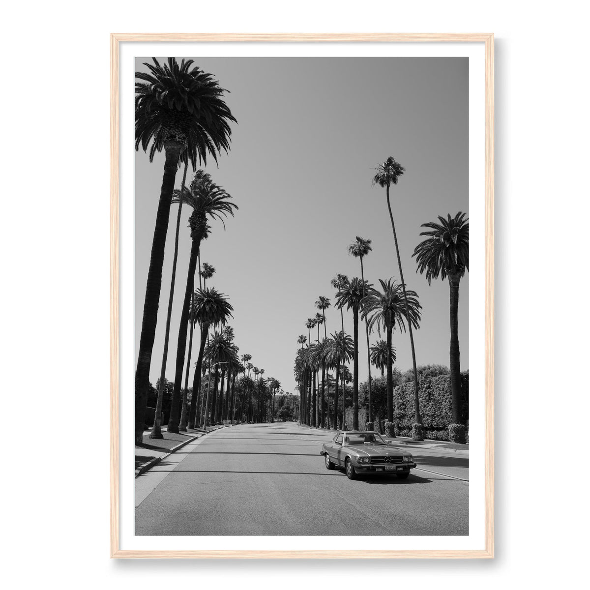 Beverly Hills Drive