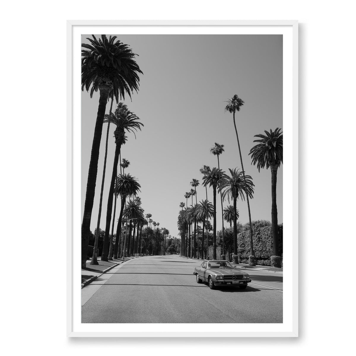 Beverly Hills Drive