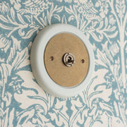 1 gang solid brass switch plate and surround no modules