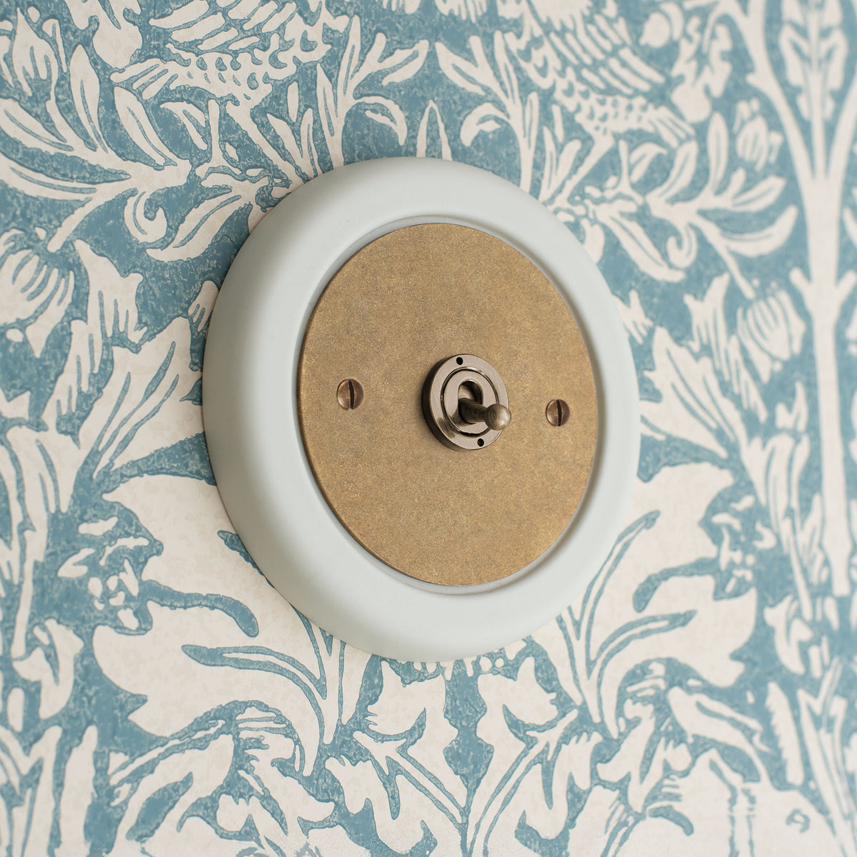 1 gang solid brass switch plate and surround no modules