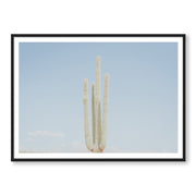 Lonely Cactus Club