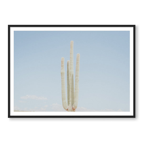 Lonely Cactus Club