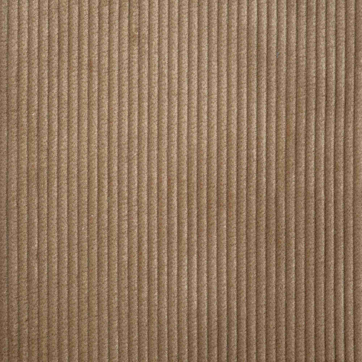 Dolittle 2 seater sofa in Classic Corduroy Stone Beige