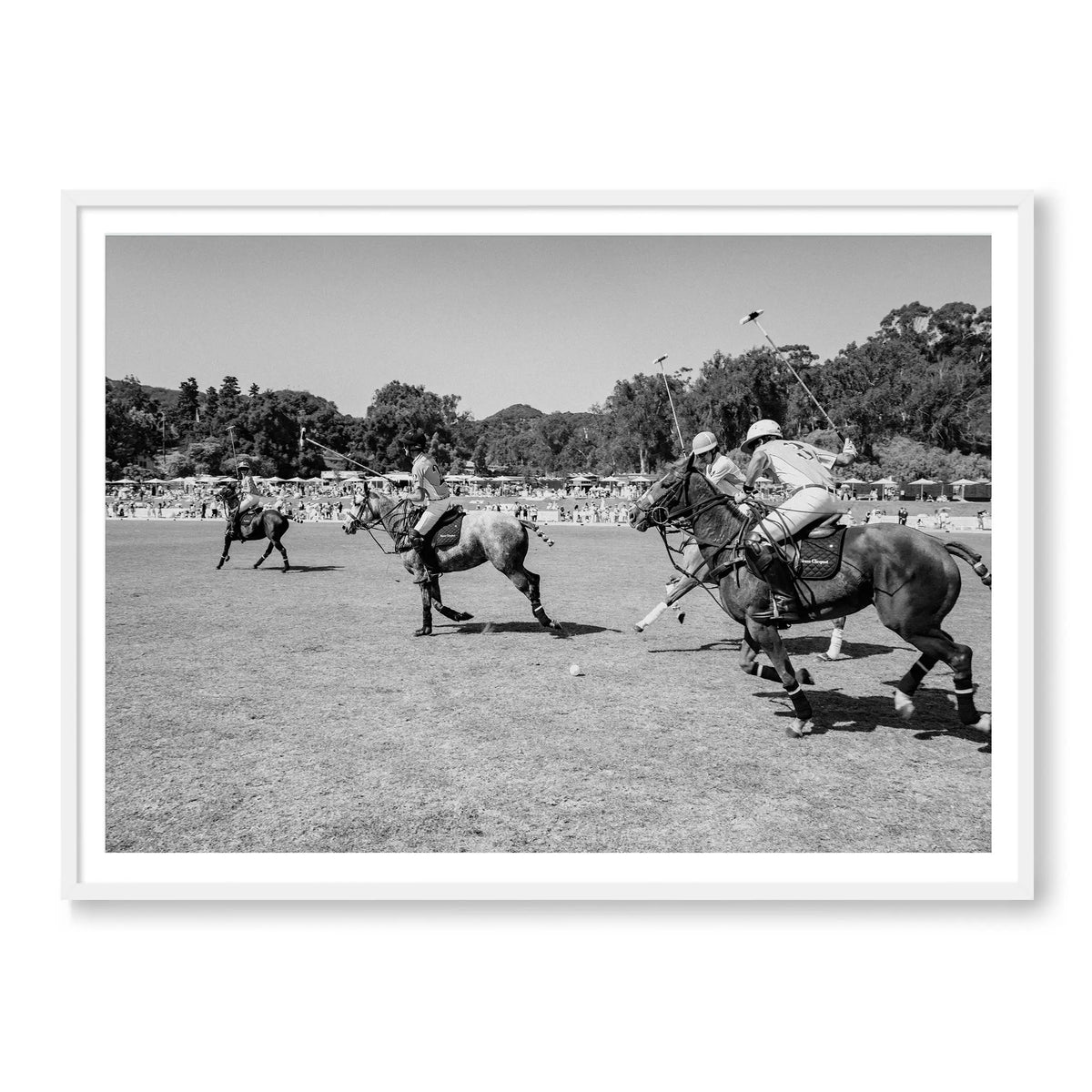 Polo Club