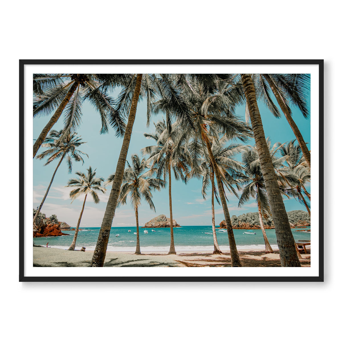 Palms in Careyes