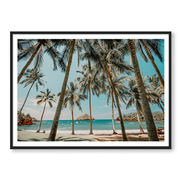 Palms in Careyes