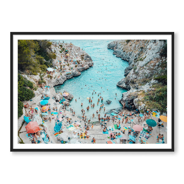 The Cove