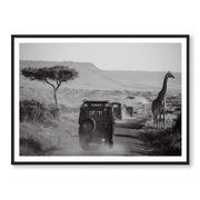 THE SAFARI B&W