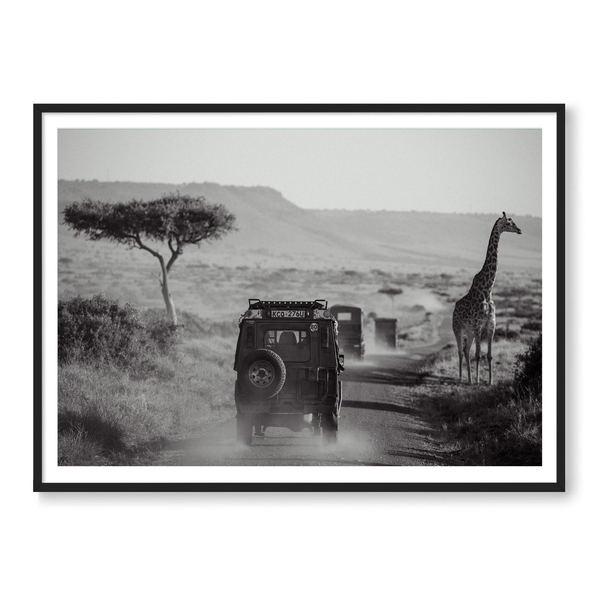 THE SAFARI B&W
