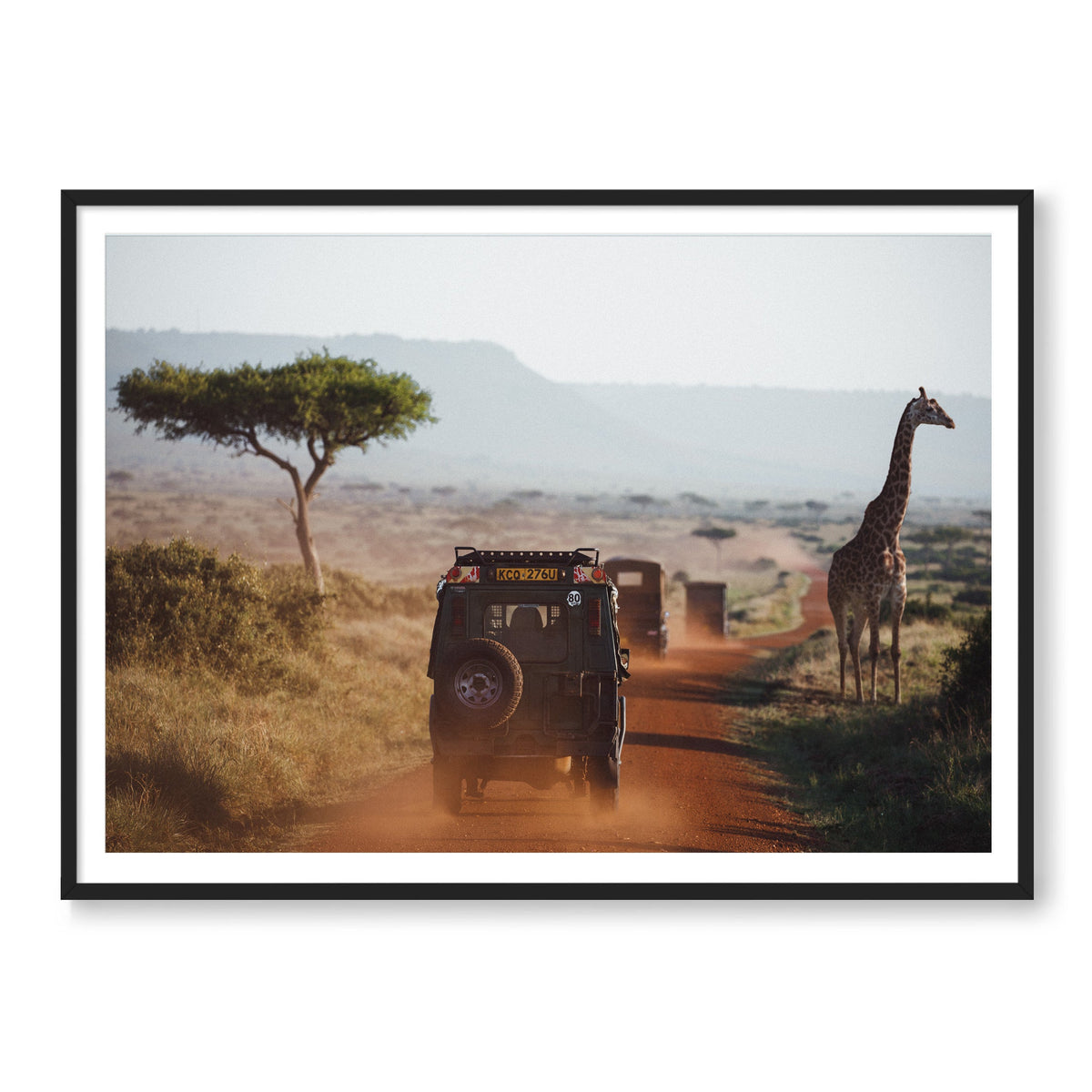 THE SAFARI