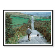 Countryside Stroll