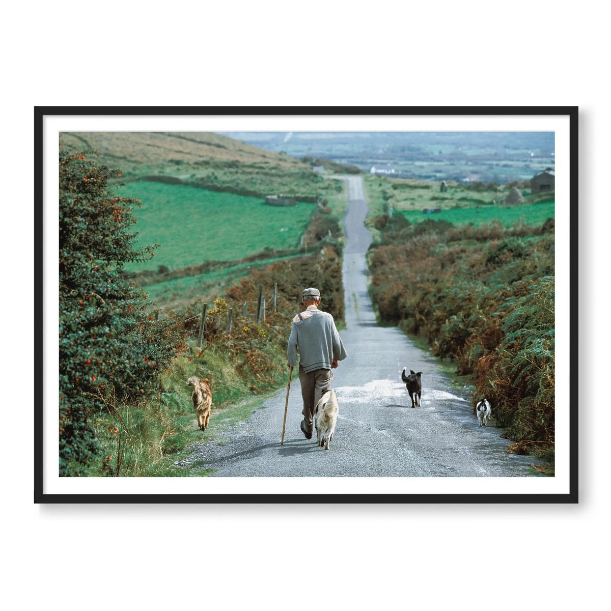 Countryside Stroll