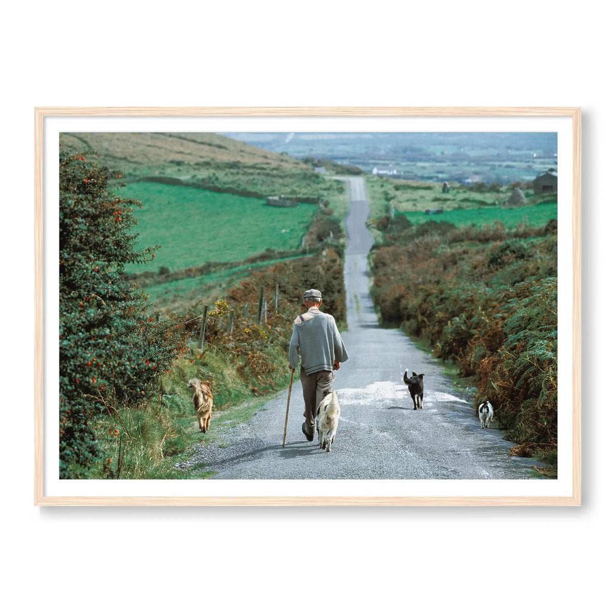 Countryside Stroll