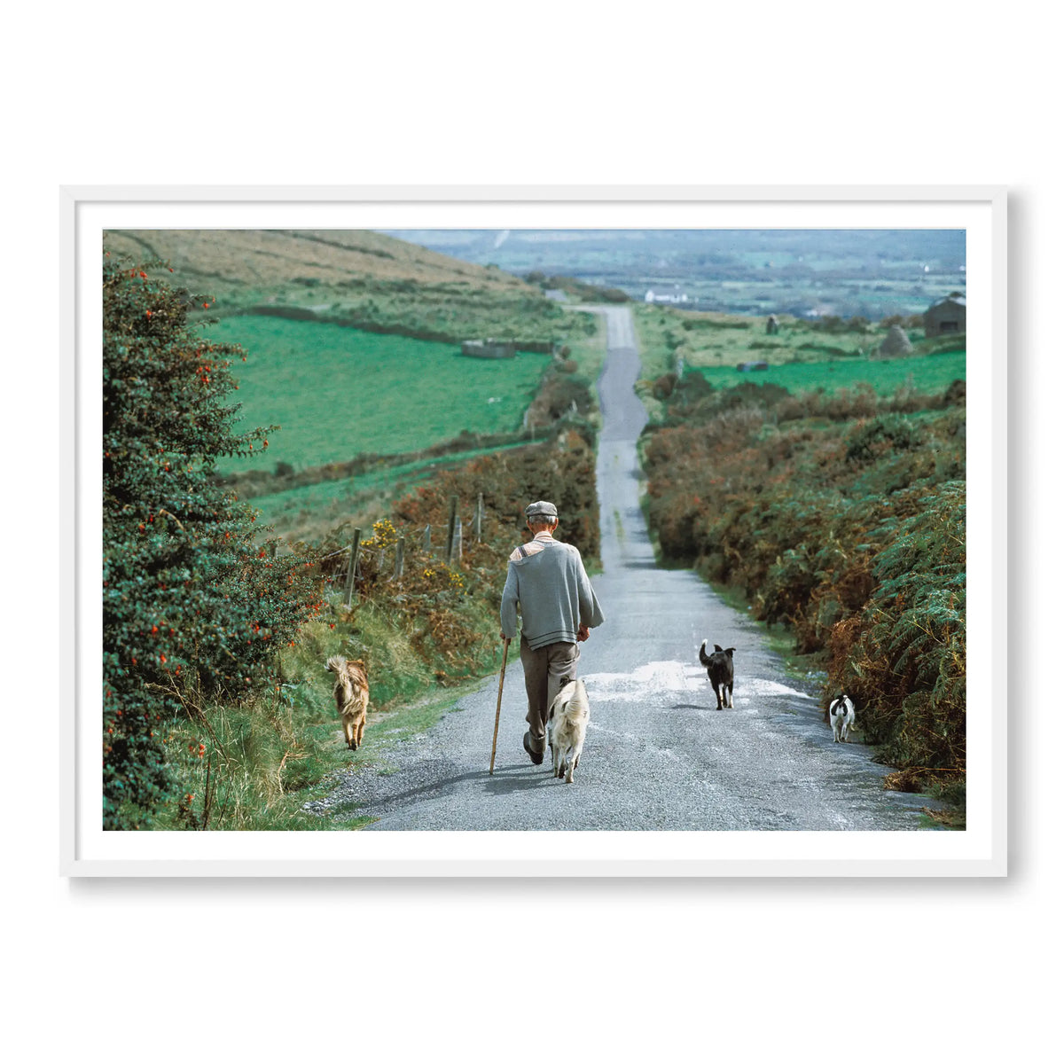 Countryside Stroll
