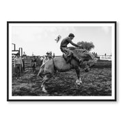 The Rodeo