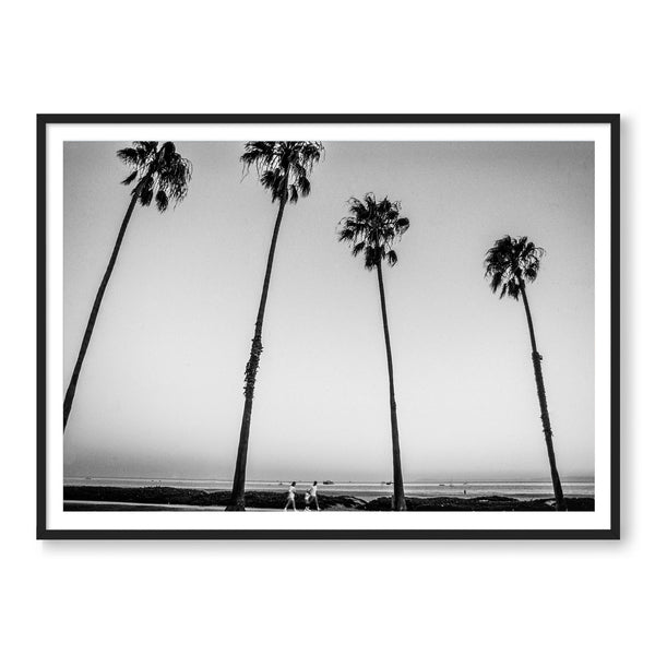 Santa Barbara Palms