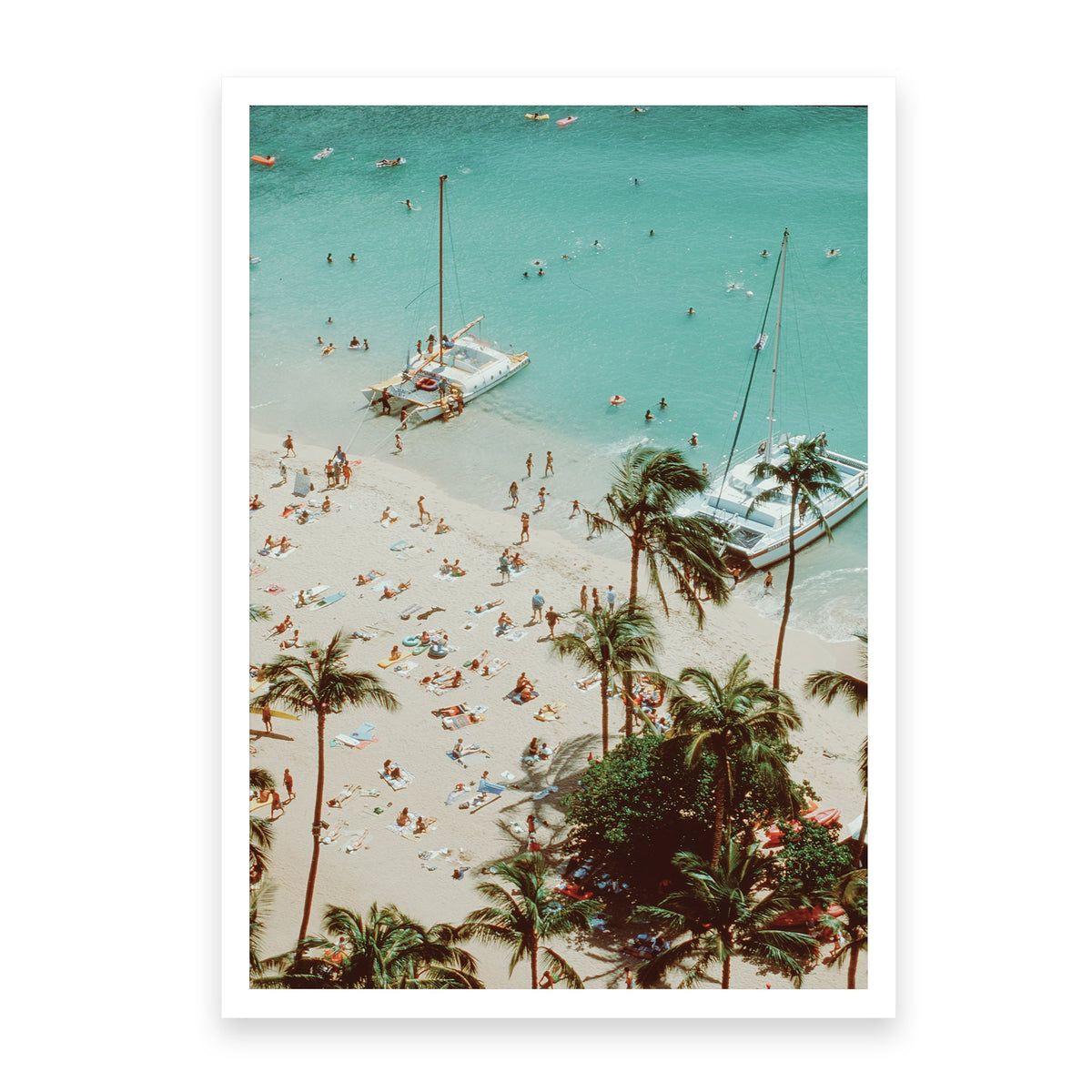 Tropical Paradise